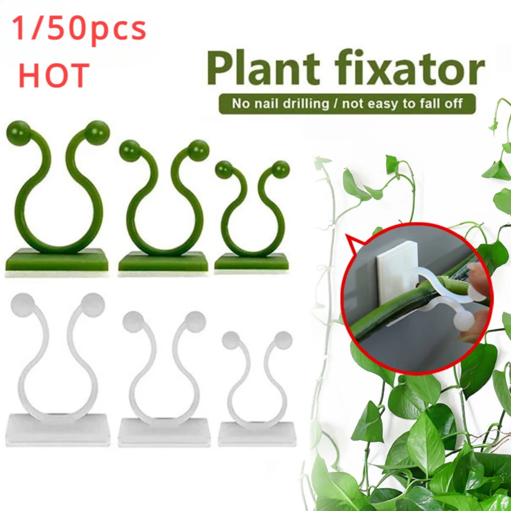 Wall Anchor Plastic - 1/30/50Pcs For Garden Accsesories Plant Garden
