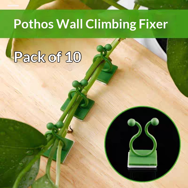 Self‑Adhesive Plant Climbing W - огляд і ціна Wall Anchor Plastic