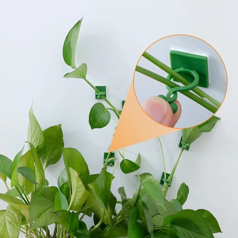 Self‑Adhesive Plant Climbing W - огляд і ціна Wall Anchor Plastic