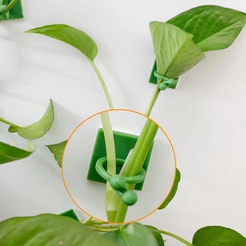Self‑Adhesive Plant Climbing W - огляд і ціна Wall Anchor Plastic