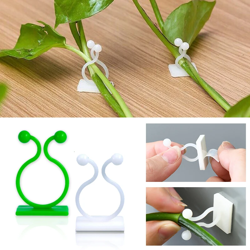 Plant Climbing Wall Self-Adhes - огляд і ціна Wall Anchor Plastic
