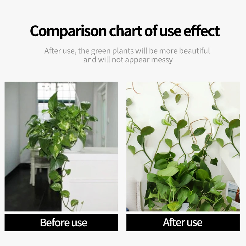 Plant Climbing Wall Self-Adhes - огляд і ціна Wall Anchor Plastic